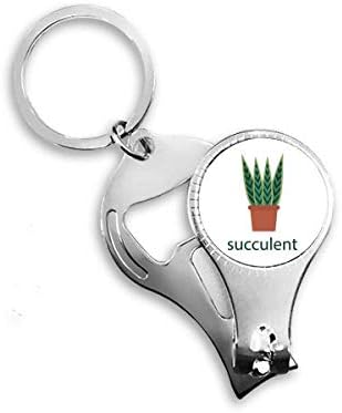 Kaktusz Cserepes Növény Pozsgás Növények Zöld Köröm Zimankó Gyűrű Kulcstartó Sörnyitó Clipper