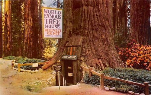 Redwood Autópálya, Kaliforniai Képeslap
